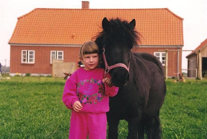 Shetlænder Pippi - pippi og jeg er lige omme i haven:) haha det er smart at ha pippi og hendes ven der hjemme billede 7
