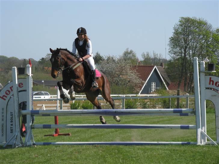 Dansk Varmblod Robocop - Første stævne - gjern :) elsker den hest i: - foto: karen ENEMAAAAAARK :D billede 18