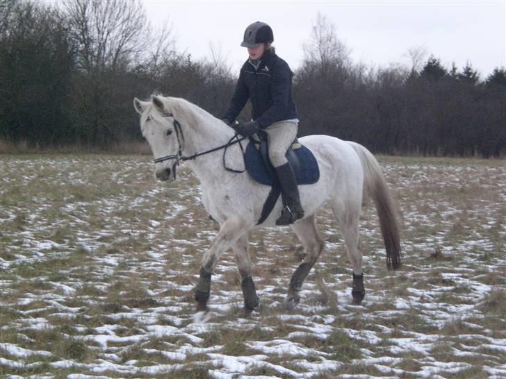 Sportsaraber (A) » Etern (: x Part - 1) Velkommen til Terne´s profil ;) billede 1