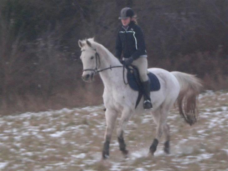 Sportsaraber (A) » Etern (: x Part - 6) Foto: Sara billede 6