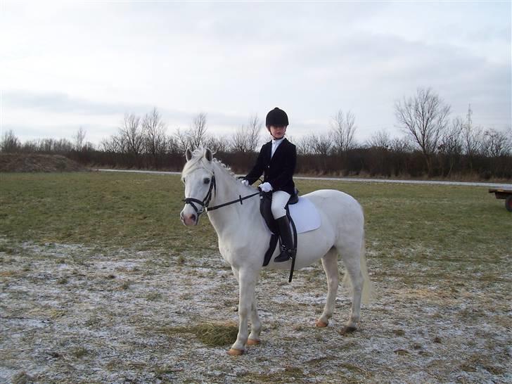 Connemara Sultan<3 aflivet:(   - emma og sulle. deres første stævne. 5 plads:) billede 10