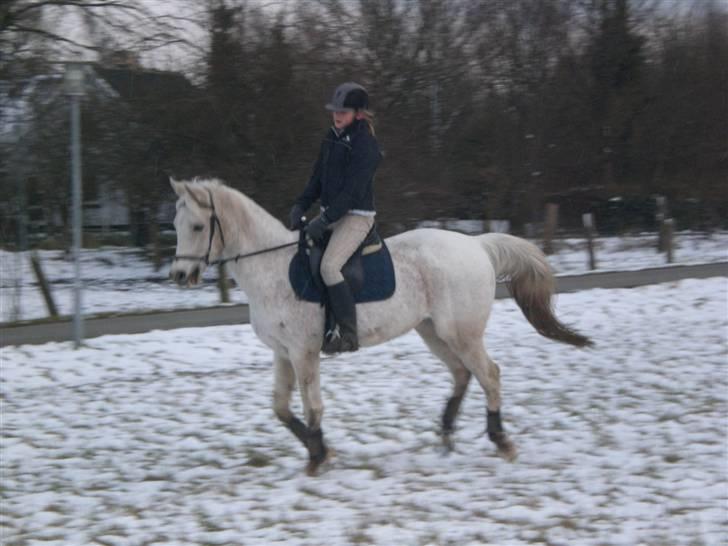 Sportsaraber (A) » Etern (: x Part - 11) Foto: Sara billede 11
