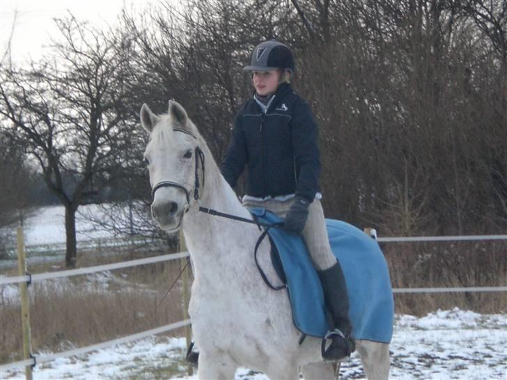 Sportsaraber (A) » Etern (: x Part - 13) Foto: Sara billede 13