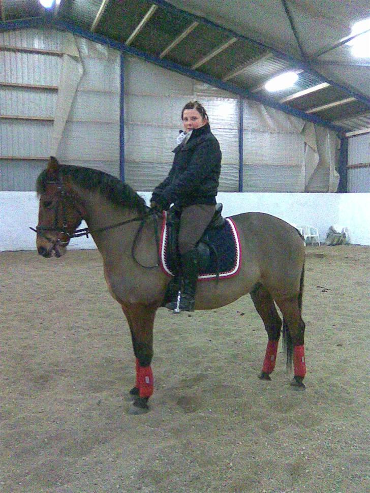 Anden særlig race Robin-Rider den ikke mere - Kig ikke på mig ;) Lidt træning en aften. Foto: Rikke Nielsen billede 2