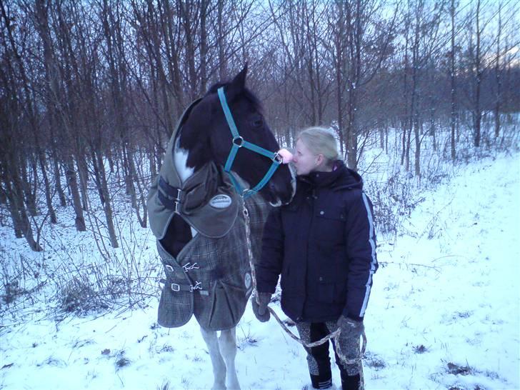 Pinto Pinto <3 (Aflivet) R.I.P. billede 16