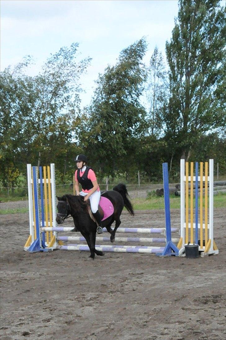 Anden særlig race Lurifax<3 solgt:( billede 4