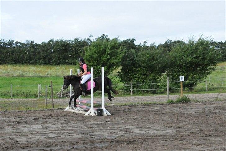 Anden særlig race Lurifax<3 solgt:( billede 5