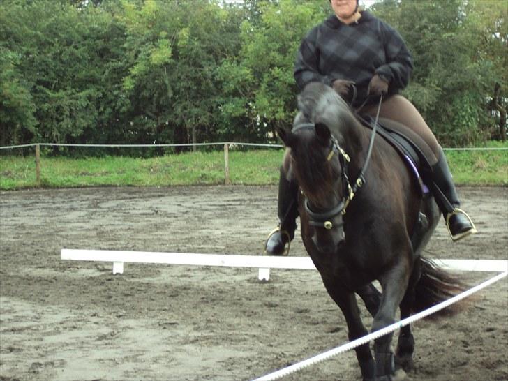 Frieser Nieske G billede 1