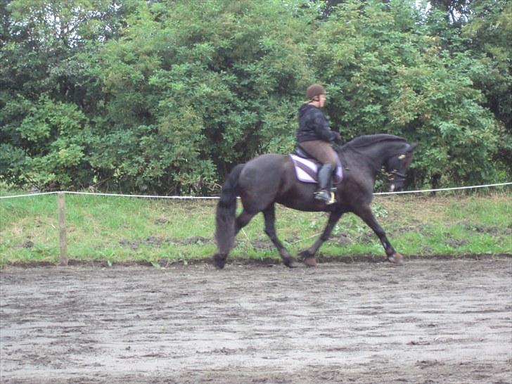 Frieser Nieske G billede 2