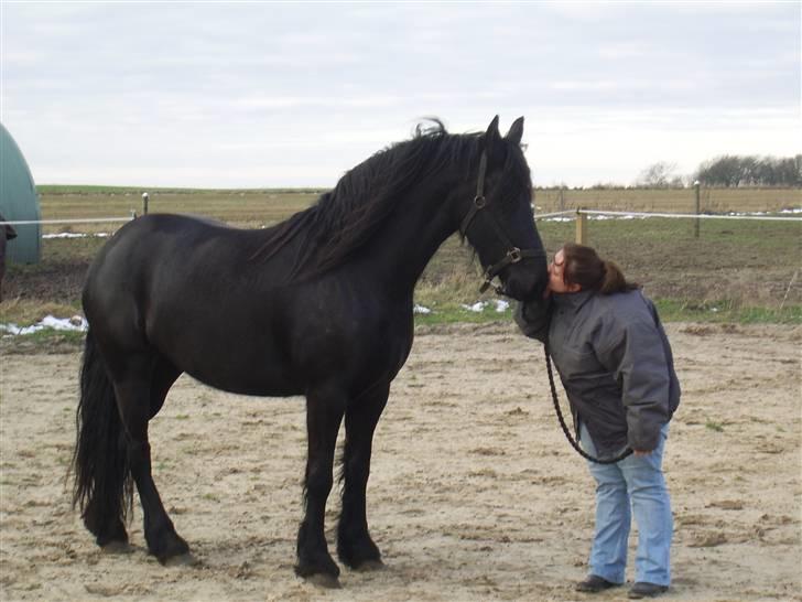 Frieser Nieske G billede 6