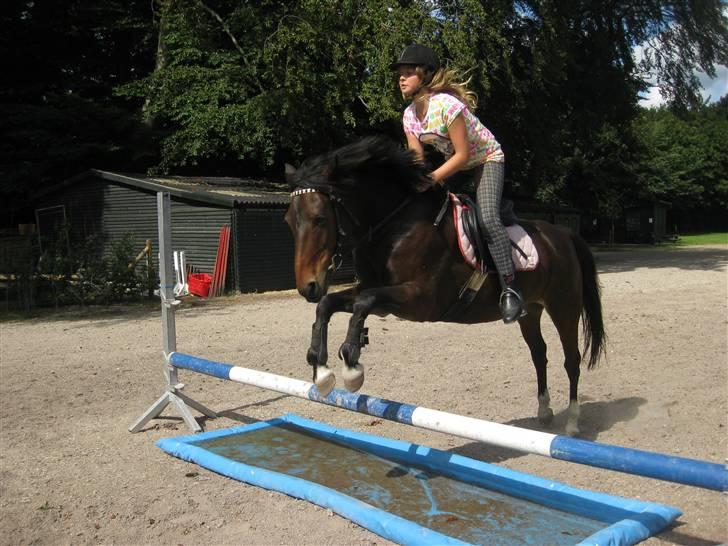 New Forest Fleur - gamle part. - Fleur springer med Laura <3. billede 18