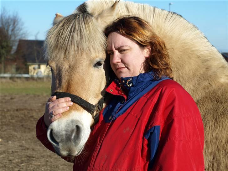 Fjordhest fossia >R.I.P< billede 11