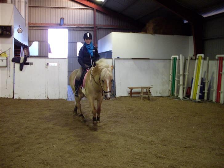 Anden særlig race Duchesse - Lidt ridning med rebgrime :D Taget den 8/2 - 09 billede 2
