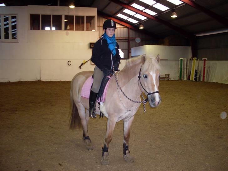 Anden særlig race Duchesse - Taget den 8/2 - 09 billede 3