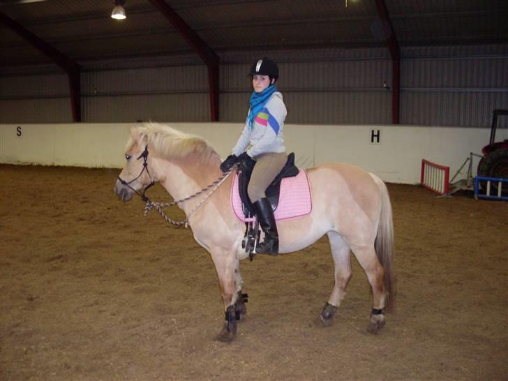 Anden særlig race Duchesse - Lidt mere ridning :D taget den 9/2 - 09 billede 4