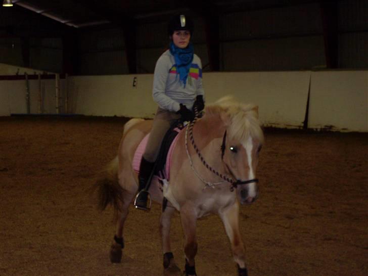 Anden særlig race Duchesse - taget den 9/2 - 09 billede 5