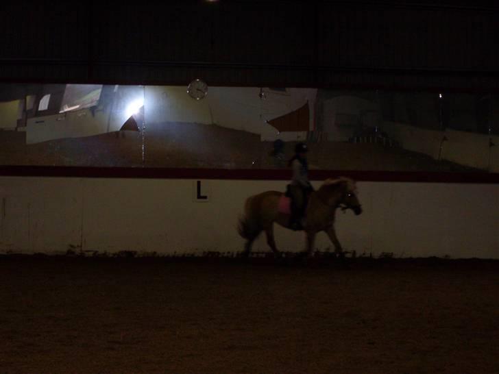 Anden særlig race Duchesse - Undskyld kvaliteten! taget den 9/2 - 09 billede 6