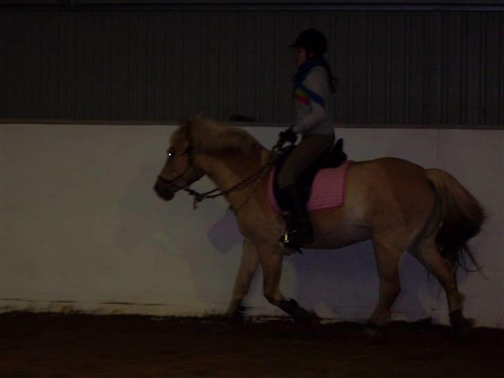 Anden særlig race Duchesse - Undskyld kvaliteten! taget den 9/2 - 09 billede 7