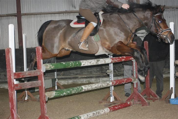 Anden særlig race Kissba - Springtræning vinter 2008/2009. billede 6