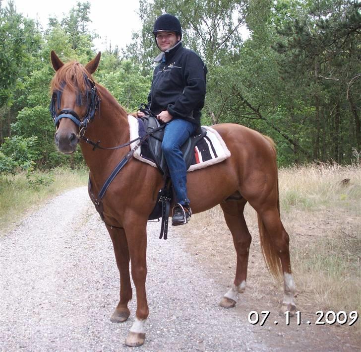 Traver Bounty Toftebjerg - Bounty og min kæreste Jay.  billede 3