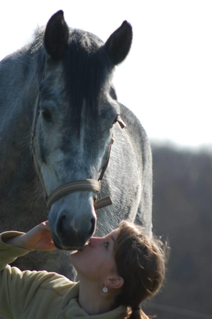 New Forest Elmholts Atlantis - Hygge (:  billede 17