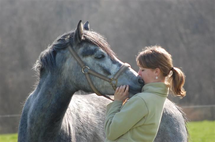 New Forest Elmholts Atlantis - Hihi <33 billede 18