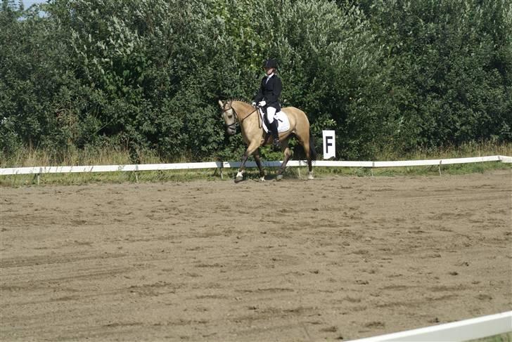 Anden særlig race Chanel *Solgt* - Lc2 red til 69,54% <333  Taget af mor :) billede 16