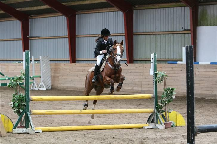 DSP Milan [SOLGT] - Flyyv Milan :b I omhop.. :D til klubmesterskab !  billede 2