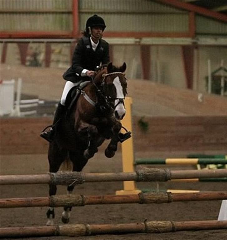 DSP Milan [SOLGT] - FKR stævne. LC billede 4