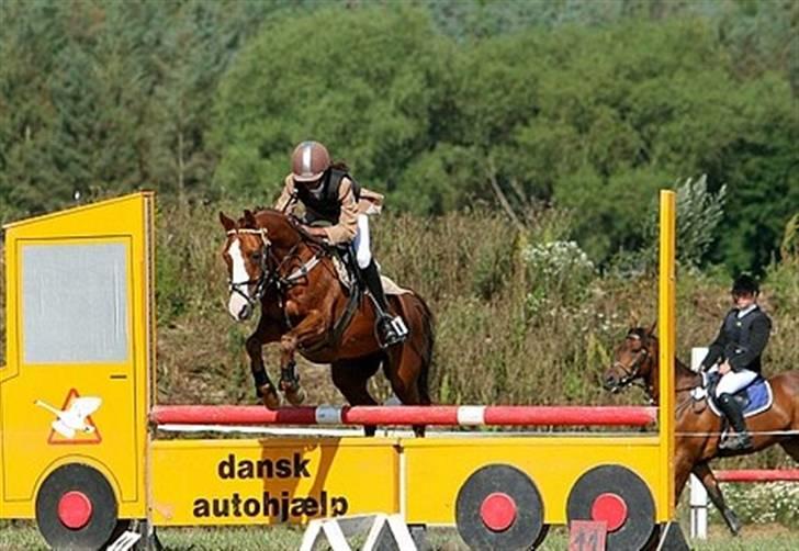 DSP Milan [SOLGT] - NFRK stævne. LB billede 6