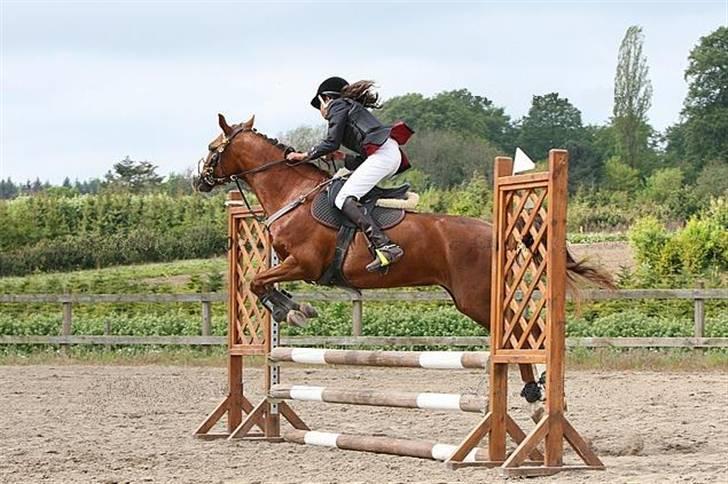 DSP Milan [SOLGT] - SYK stævne. LC NYT Vandt! billede 9