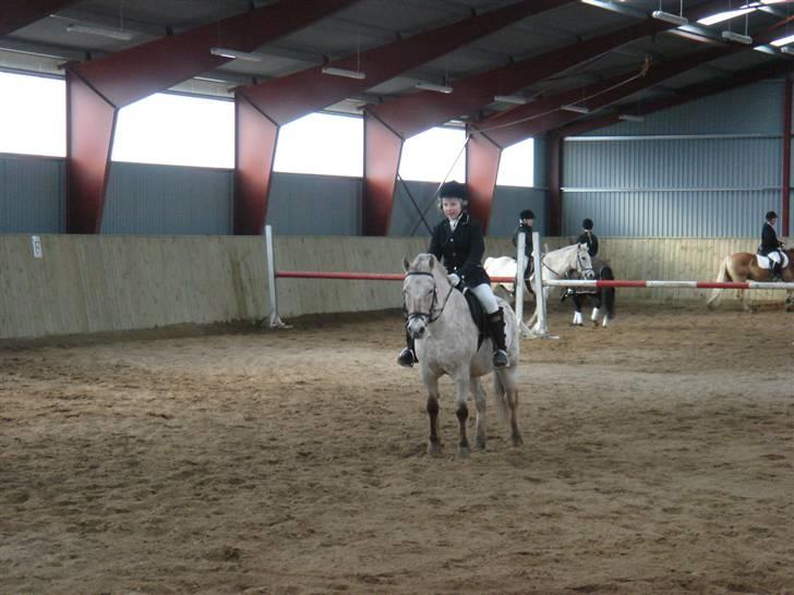 Anden særlig race »Philippa<3 »Gammel part. - Så starter vi :D Første dressurstævne, red LE, tror jeg :-). billede 12