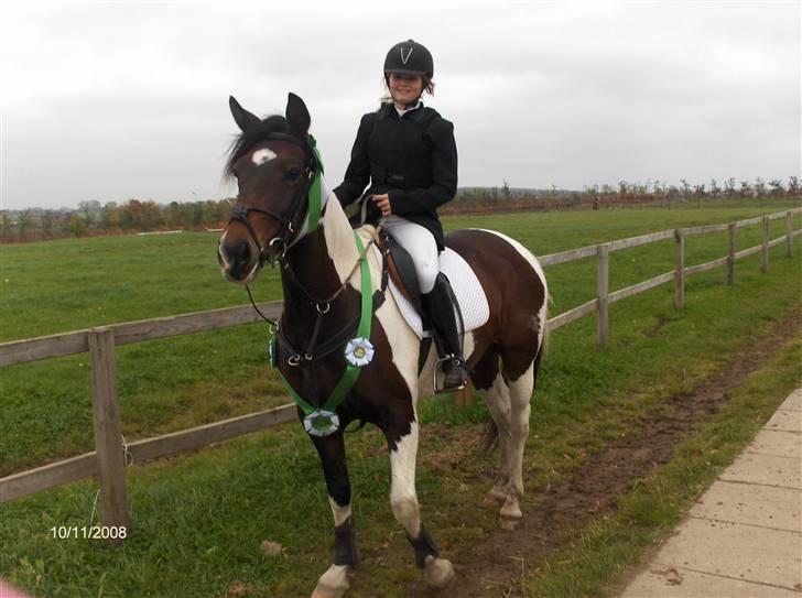 Anden særlig race *Plet*  - Plet til favrskovcup billede 1