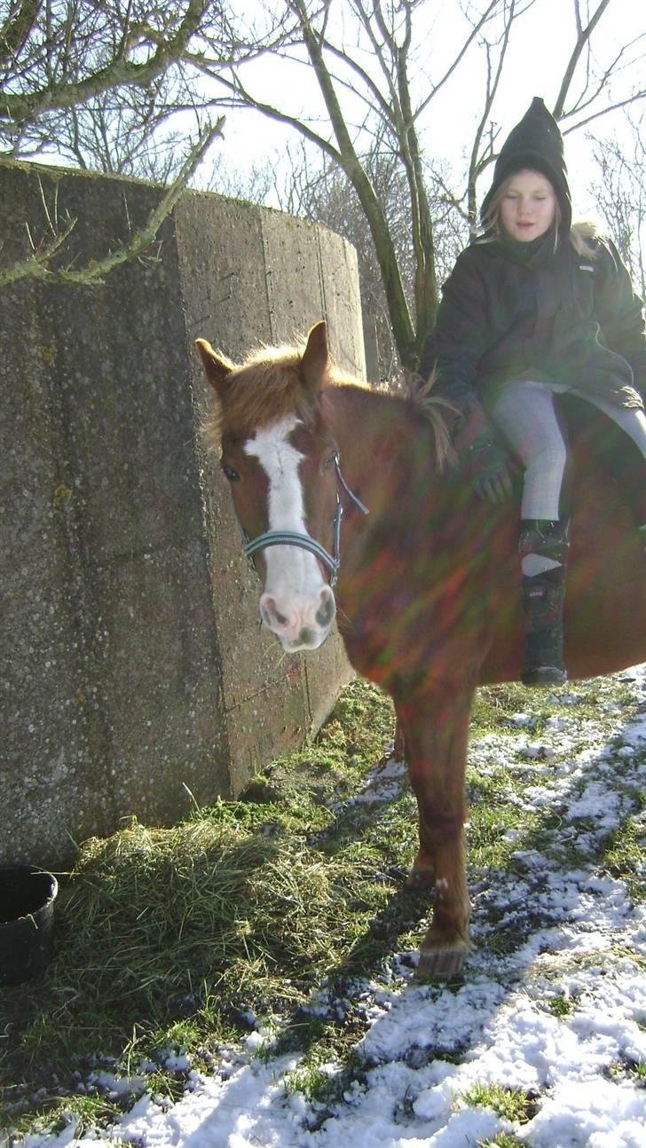 Anden særlig race Rosita<3 (møffe) - åhhh billede 18