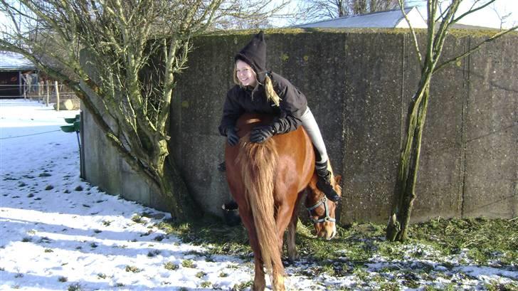 Anden særlig race Rosita<3 (møffe) billede 19