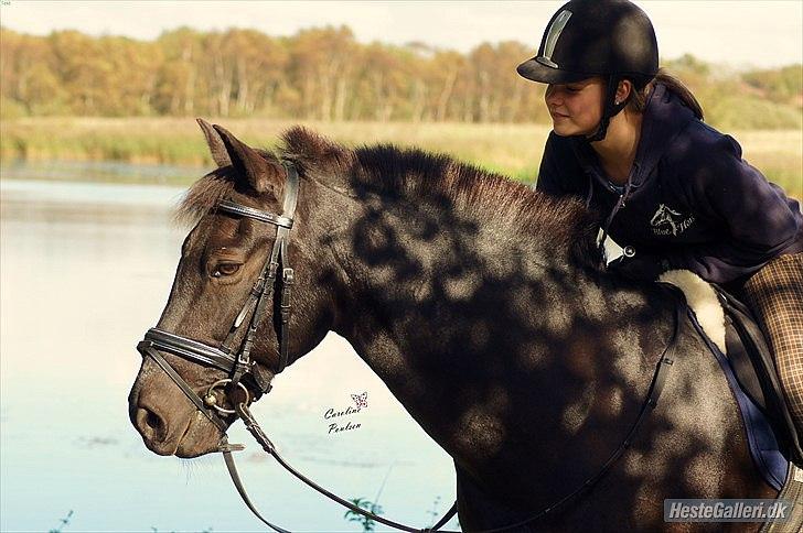 Anden særlig race Avantih <33 - Velkommen til Avantih´s profil<33 billede 1