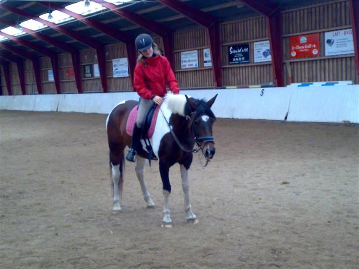 Anden særlig race *Plet*  - Plet er træt billede 4