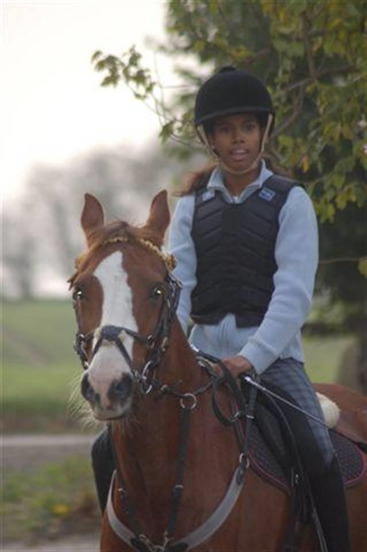 DSP Milan [SOLGT] - Lars Trier kursus.  - Tak fam. Hulehøj billede 12