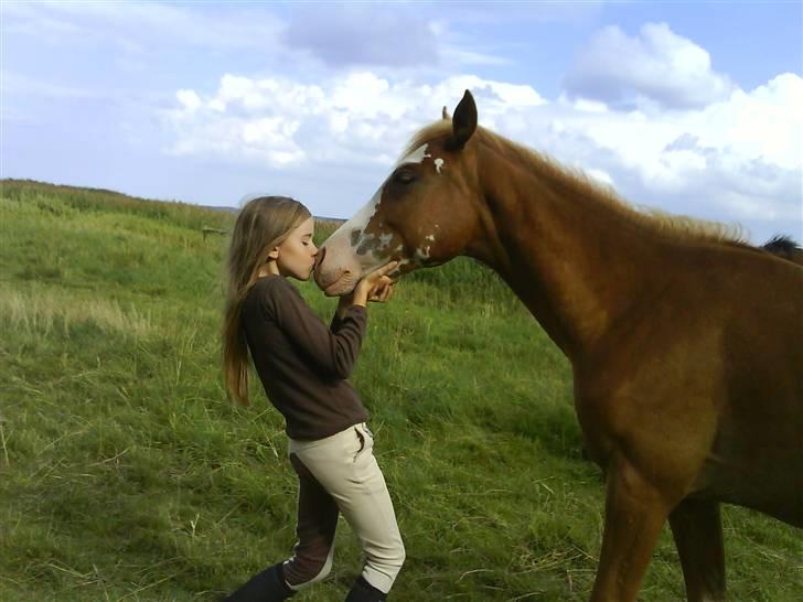 New Forest Mark's Century - Century giver mig et kys. (somer 2008) billede 6