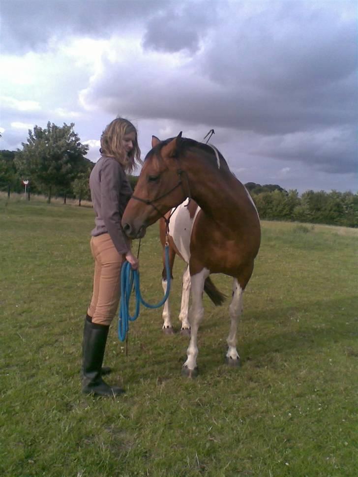 Pinto Fleur - Min mor og Fleur træner lidt horsemanship. billede 1