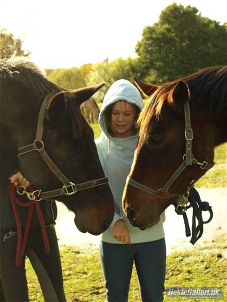 Traver **-<3Elli Star<3-** Ejer! - Mig og min bedste ven!!! :D Nr. 3På billedet: Malene .  (Tusind tak til Fotograf: Mia Bertelsen) :D billede 3