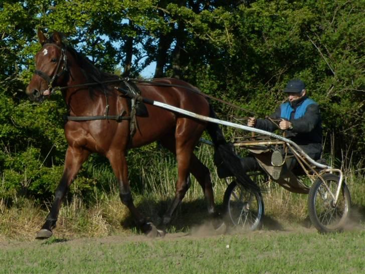 Traver - Odin Å - 11: Træning hjemme, med far :). billede 11