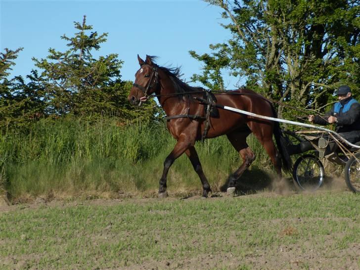 Traver - Odin Å - 15: Træning hjemme, med far :). billede 15