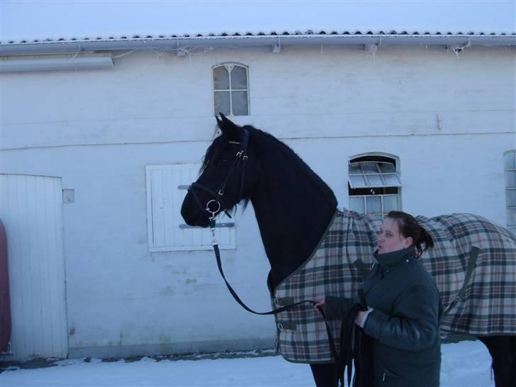 Frieser Nieske G billede 11