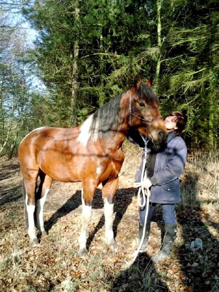 Anden særlig race Tarok  - d. 13/02-09 . Tarok har været vores i et helt år præcis idag. - Foto; Amalie billede 16