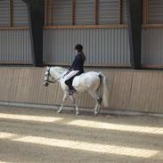 Anden særlig race Cloe´ - Savner dig R.I.P 