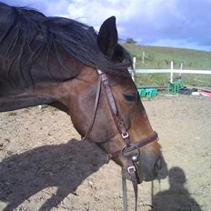 Traver Todo Proud * passet <3 *