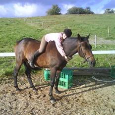 Traver Todo Proud * passet <3 *