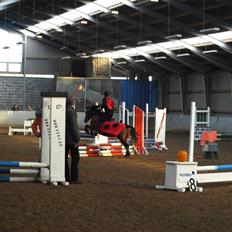 Anden særlig race Tulle (fundet igen) 