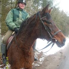 Dansk Varmblod Gry - min part!